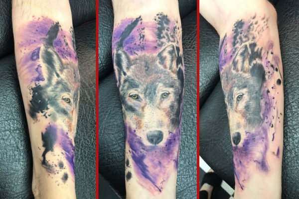 Tattoo, tat, ink, body art, Colchester, essex, best rated tattoo, top artist, best artist, tattoo Colchester, Colchester tattoo, essex tattoo, tattoo essex, recommended tattoo studio, tattoo studio, cheap tattoo, good tattoo, tattoo art, ink, inked, reds tattoo, reds tattoo parlour, reds, reds tattoo studio, high street studio, sonya trusty female tattoo artist, female artist, tattooartist, tattooed, watercolour, watercolor, watercolour tattoo, paint style, paint, paint style tattoo, splatter tattoo, watercolour splash, art, art style tattoo, arty, sketchy tattoo, illustrative tattoo, illustration tattoo, sketch tattoo, blackandgreytattoo, realism, realism tattoo, 3d tattoo, b&g tattoo, portrait tattoo, portrait, tattooart, tattoo life, photography tattoo, tattoorealistic, realistictattoo, tattooer, tattoo love, blackandwhite, awesometattoos, wolf, wolf tattoo, watercolour wolf, watercolour wolf tattoo, arm, arm tattoo, feminine tattoo,,