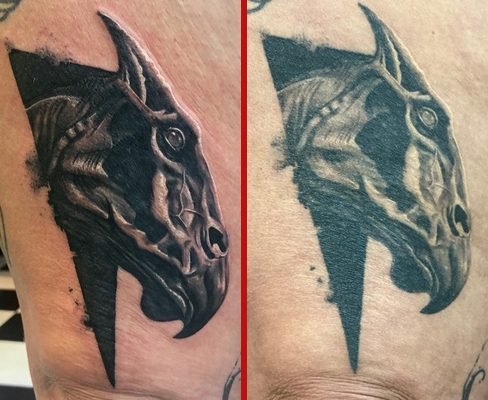 Tattoo, tat, ink, body art, Colchester, essex, best rated tattoo, top artist, best artist, tattoo Colchester, Colchester tattoo, essex tattoo, tattoo essex, recommended tattoo studio, tattoo studio, cheap tattoo, good tattoo, tattoo art, ink, inked, reds tattoo, reds tattoo parlour, reds, reds tattoo studio, high street studio, anna kowacka, female tattoo artist, female artist, tattooartist, tattooed, Black and grey tattoo, realism, realism tattoo, 3d tattoo, b&g tattoo, portrait tattoo, portrait, tattoo art, tattoo life, photography tattoo, tattoo realistic, realistic tattoo, tattooer, tattoo love, black and white, awesome tattoos, black and white tattoo, realistic, realistic shading, black and grey shading, harry potter, harry, potter, harry potter tattoo, warner brothers, warner brothers tattoo, pottermore, pottermore tattoo, potterhead, potterhead tattoo, Hogwarts, Hogwarts tattoo, wizard, wizard tattoo, witch, witch tattoo, magic, magic tattoo, wizarding world, wizarding world tattoo, witchcraft, witchcraft tattoo, Fresh, fresh tattoo, healed, healed tattoo, fresh vs healed, fresh vs healed tattoo, healed vs fresh, healed vs fresh tattoo, thestral, thestral tattoo, magical creature, magical creature tattoo, thigh, thigh tattoo, leg, leg tattoo