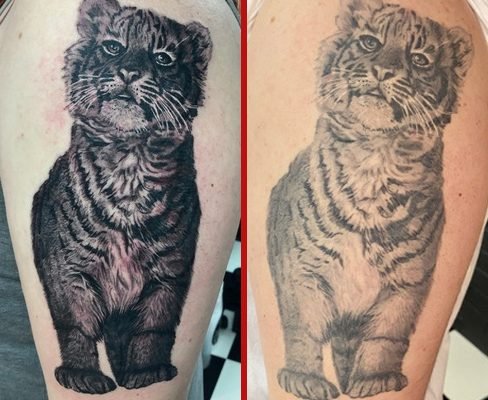 Tattoo, tat, ink, body art, Colchester, essex, best rated tattoo, top artist, best artist, tattoo Colchester, Colchester tattoo, essex tattoo, tattoo essex, recommended tattoo studio, tattoo studio, cheap tattoo, good tattoo, tattoo art, ink, inked, reds tattoo, reds tattoo parlour, reds, reds tattoo studio, high street studio, anna kowacka, female tattoo artist, female artist, tattooartist, tattooed, Black and grey tattoo, realism, realism tattoo, 3d tattoo, b&g tattoo, portrait tattoo, portrait, tattoo art, tattoo life, photography tattoo, tattoo realistic, realistic tattoo, tattooer, tattoo love, black and white, awesome tattoos, black and white tattoo, realistic, realistic shading, black and grey shading, Fresh, fresh tattoo, healed, healed tattoo, fresh vs healed, fresh vs healed tattoo, healed vs fresh, healed vs fresh tattoo, tiger, tiger tattoo, baby tiger, baby tiger tattoo, cat, cat tattoo, wild cat, wild cat tattoo, wild tiger, wild tiger tattoo, cute, cute tattoo, cute tiger, cute tiger tattoo, arm, arm tattoo, shoulder, shoulder tattoo, upper arm, upper arm tattoo,