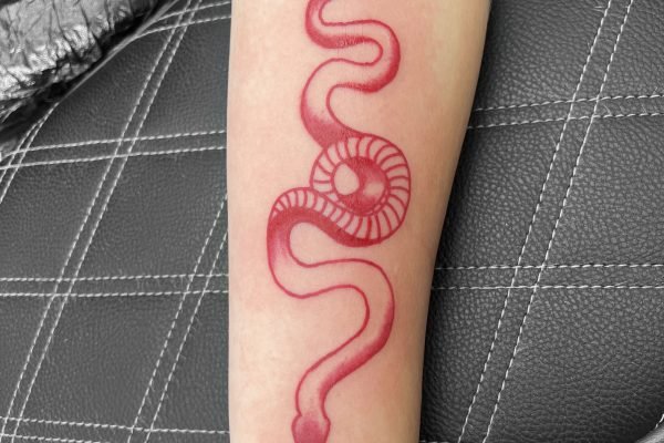 Tattoo, tat, ink, body art, Colchester, essex, best rated tattoo, top artist, best artist, tattoo Colchester, Colchester tattoo, essex tattoo, tattoo essex, recommended tattoo studio, tattoo studio, cheap tattoo, good tattoo, tattoo art, ink, inked, reds tattoo, reds tattoo parlour, reds, reds tattoo studio, high street studio, sonya trusty, female tattoo artist, female artist, tattooartist, tattooed, blackandgreytattoo, tattooart, tattoo life, tattooer, tattoo love, blackandwhite, awesometattoos, linework tattoo, outline tattoo, line tattoo, illustration, simple tattoo, small tattoo, cute tattoo, line work, lines, lines tattoo, line work snake, snake, red ink, red ink tattoo, red line work, red line work tattoo, red snake tattoo, red line work snake tattoo,