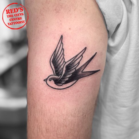 swallow tattoo