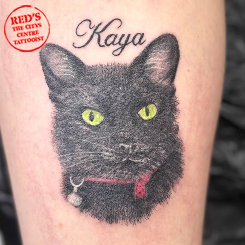 cat tattoo